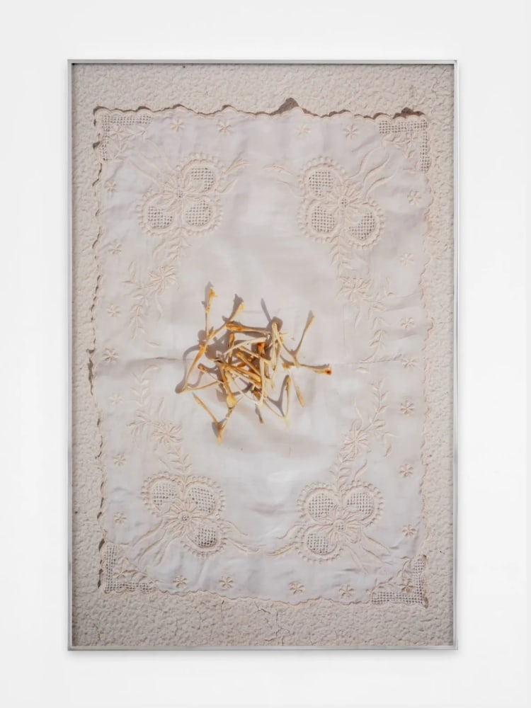 Farah Al Qasimi

Wishbones on Lace, 2022

Archival inkjet print in aluminum artist&amp;#39;s frame

50 x 33 inches (127 x 83.8 cm), print
50 1/2 x 33 1/2 inches (128.3 x 85.1 cm), framed

Edition of 5 + 2 APs

(FAQ22-02.2)