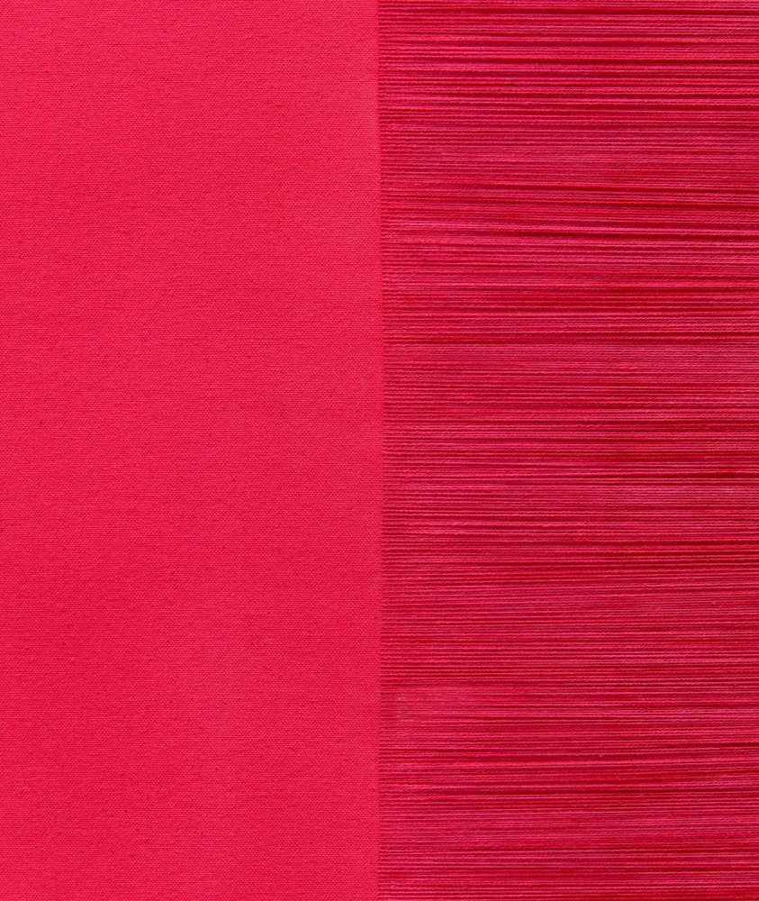 Rebecca Ward

hunger II, 2025

Acrylic and dye on stitched canvas

60 x 50 inches (152.4 x 127 cm)

(RWA25-02)