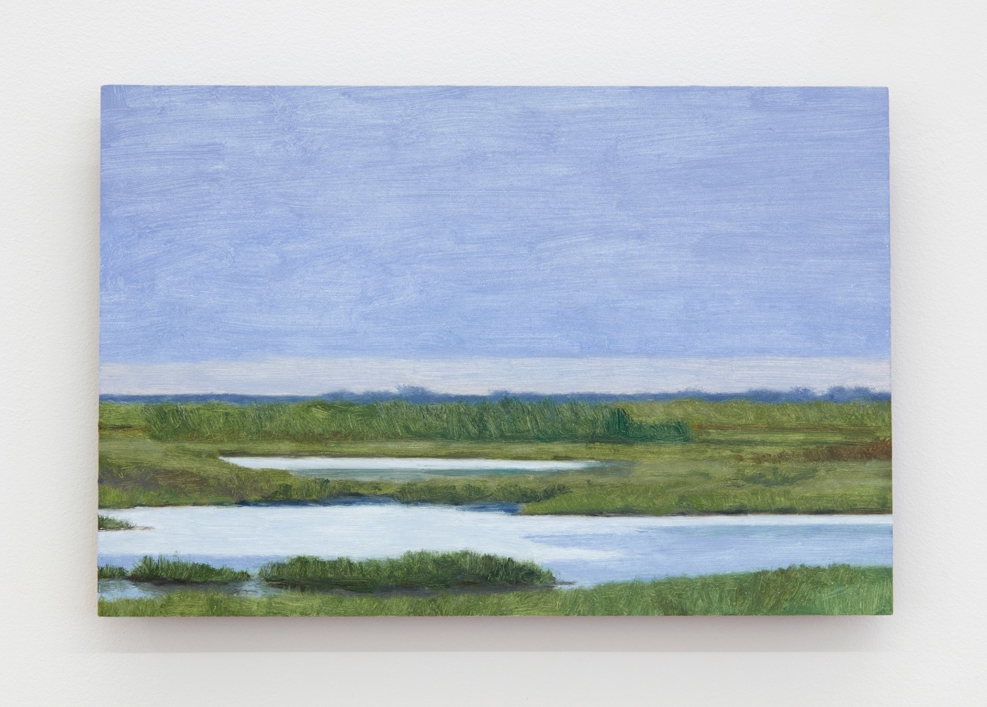 Eleanor Ray

Florida Wetlands, Dawn, 2025

Oil on panel

6 1/2 x 9 3/4 inches (16.5 x 24.8 cm)

(ERA25-08)