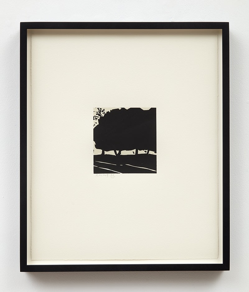 Alex Katz
Untitled (Tree), 2001
Linocut on Somerset White paper
Paper size: 16 3/4 x 13 7/8 inches (42.6 x 35.2 cm)
Edition of 45 + proofs
Printed by John C. Erickson, Brooklyn
Published by Peter Blum Edition, New York