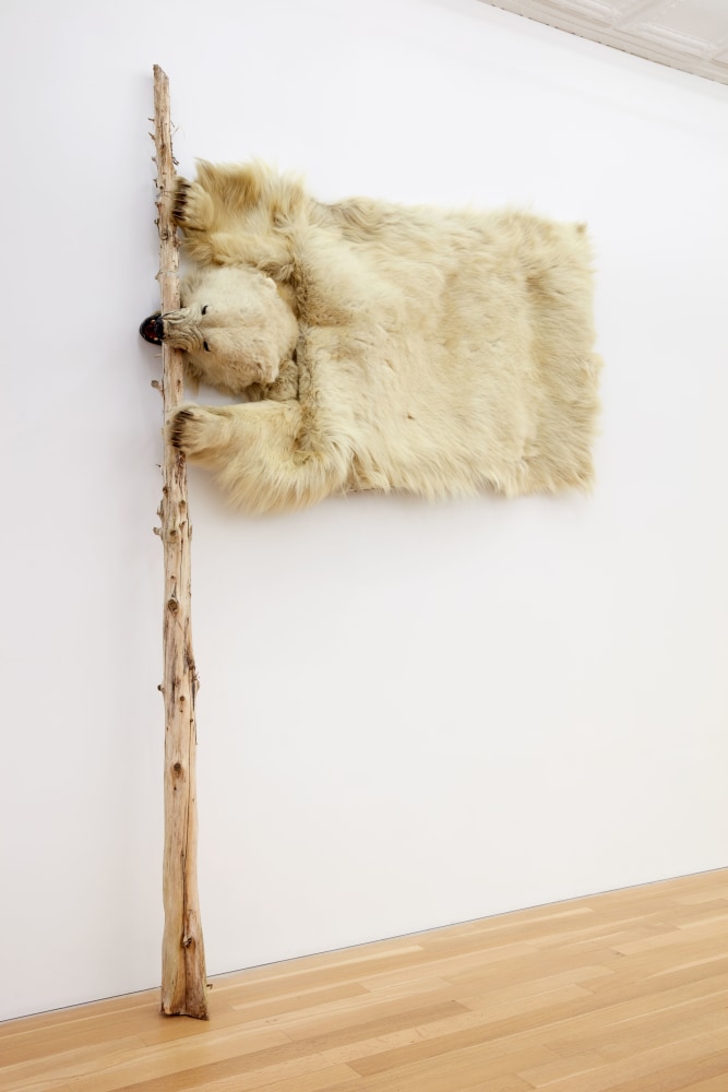 
Nicholas Galanin&amp;nbsp;
White Flag, 2022&amp;nbsp;
trimmed polar bear rug and wood&amp;nbsp;
trimmed polar bear rug: 50 x 78 inches (127 x 198.1 cm)
wood: 10 1/2 x 6 1/4 inches (26.7 x 15.9 cm)&amp;nbsp;
(NGA22-04)&amp;nbsp;