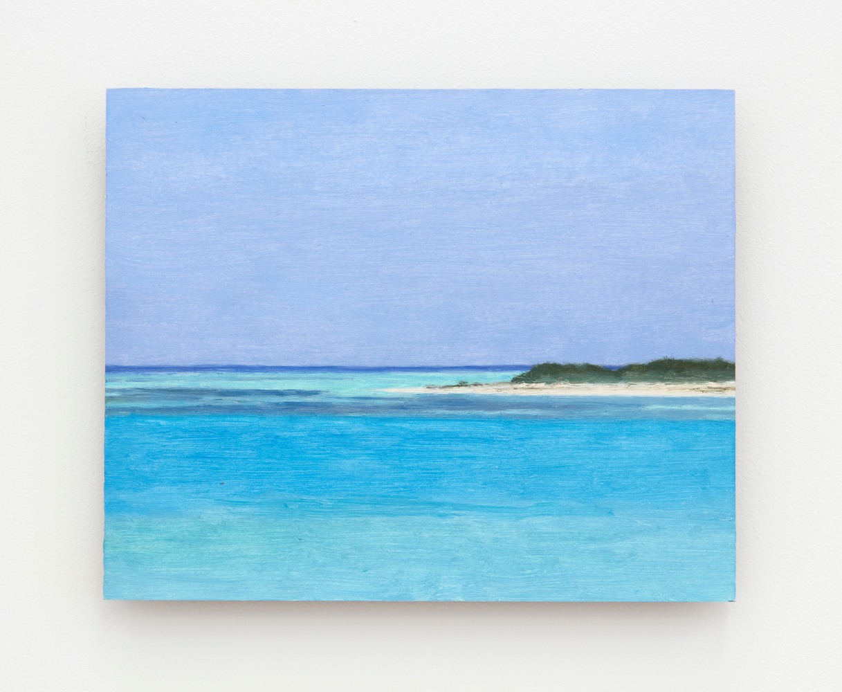 Eleanor Ray

Dry Tortugas, May, 2025

Oil on panel

6 1/2 x 8 inches (16.5 x 20.3 cm)

(ERA25-03)