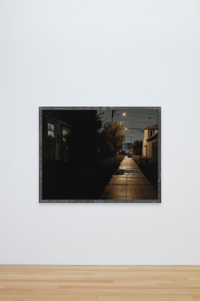 Guadalupe Rosales

shortcut, 2022

Archival pigment print, engraved aluminum artist&amp;#39;s frame

48 x 62 inches (122 x 158 cm), print
51 x 65 x 2 inches (130 x 165 x 5 cm), framed

Edition of 5 + 2 APs&amp;nbsp;

(GRO22-01.4)