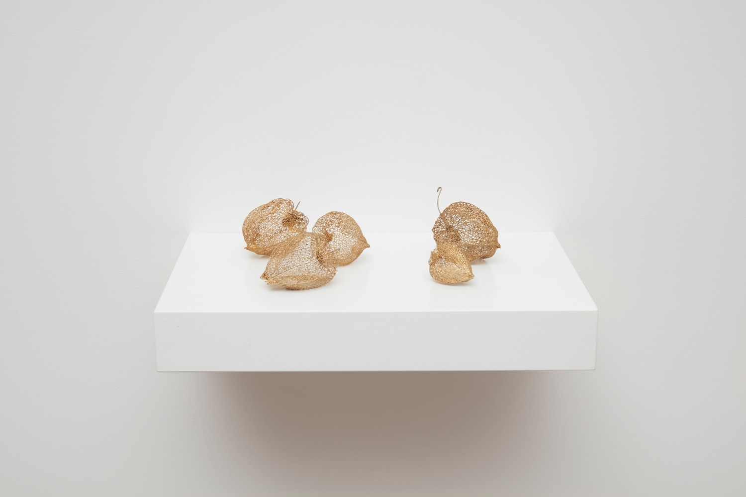 Su-Mei Tse
A Whole Universe (Physalis), 2019
5 gilded dried husks of physalis fruits, wooden shelf
10 3/8 x 7 1/4 x 1 5/8 inches (26.5 x 18.5 x 4.2 cm)