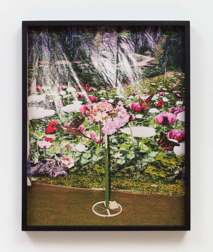 Pao Houa Her

untitled (flower bouquet with backdrop), 2019

Archival pigment print mounted on Dibond, artist-select frame (ebonized walnut)

25 x 20 inches (63.5 x 50.8 cm), photograph
25 3/4 x 20 3/4 inches (65.4 x 52.7 cm), framed

Edition of 5 + 2 APs

(PHH19-05.3)