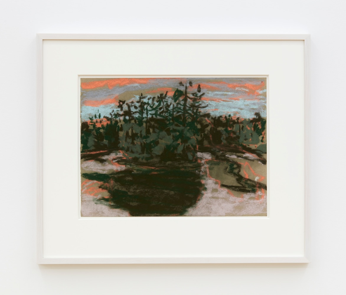 Nicole Wittenberg

Pond Island, 2020

Pastel on paper

11 1/2 x 15 1/2 inches (29.2 x 39.4 cm)

(NW20-01)