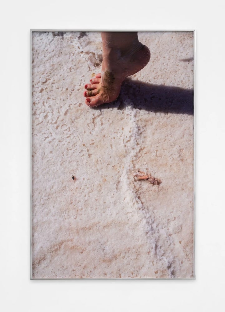 Farah Al Qasimi

Locust in Salt Flat, 2022

Archival inkjet print in aluminum artist&amp;#39;s frame

50 x 33 inches (127 x 83.8 cm), print
50 1/2 x 33 1/2 inches (128.3 x 85.1 cm), framed

Edition of 5 + 2 APs

(FAQ22-04.1)