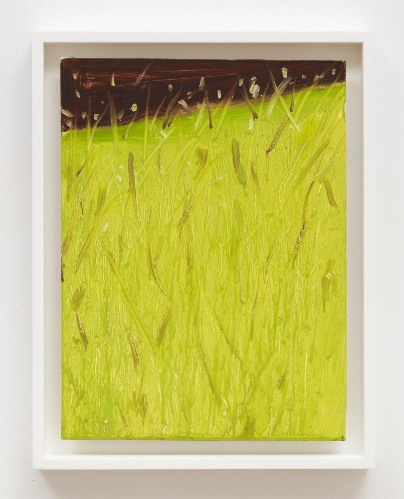 Alex Katz

Grass 1 Study, 2021

Oil on board

12 x 9 inches (30.5 x 22.9 cm)

(AK21-03)
