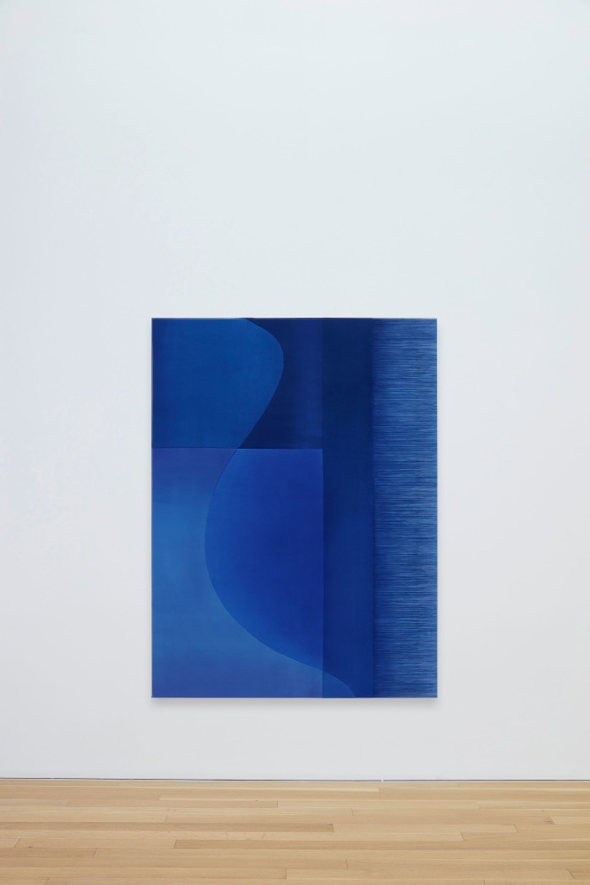 Rebecca Ward

phenomenomena, 2025

Acrylic and dye on stitched canvas

60 x 45 inches (152.4 x 114.3 cm)

(RWA25-03)