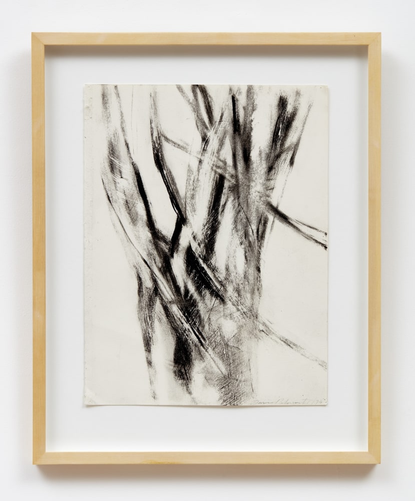 David Rabinowitch

Drawing after a Beech Tree in Central Park, 1976

Charcoal and beeswax on paper

21 x 17 inches (53.34 x 43.18 cm)

(DR76-15)