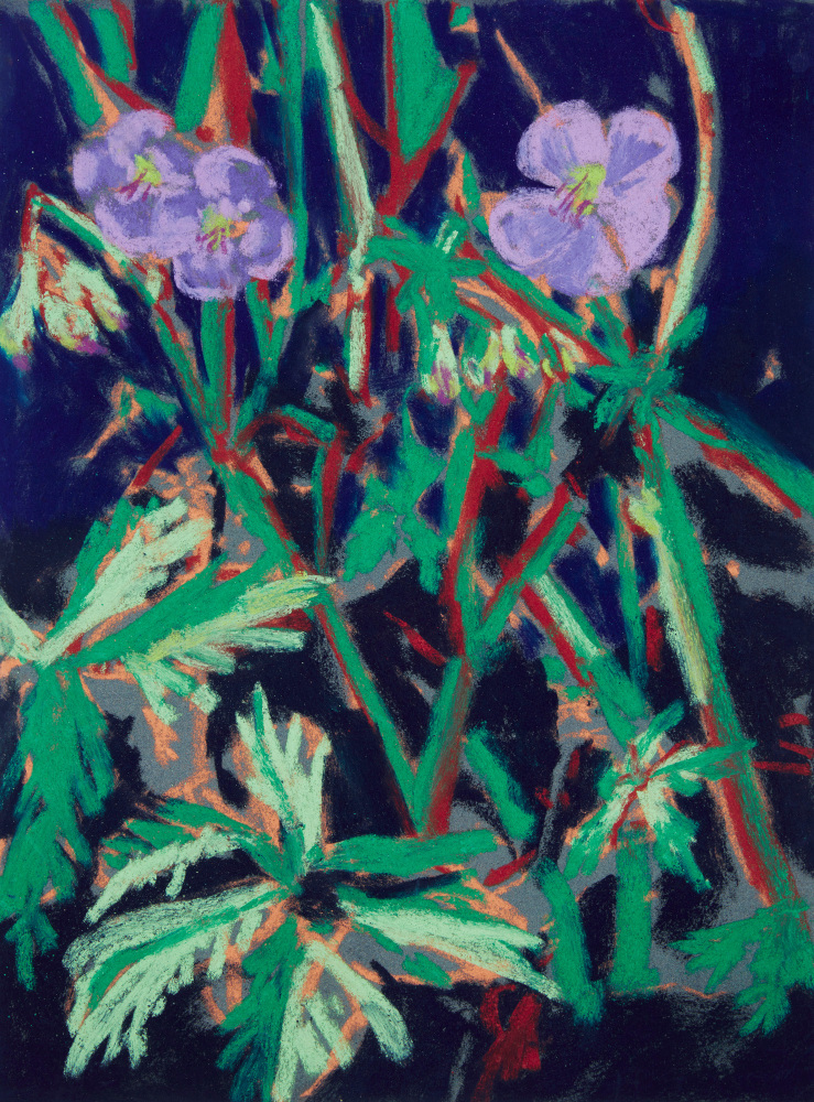 Nicole Wittenberg

Sweet William 7, 2023

Pastel on paper

15 1/2 x 11 1/2 inches (39.4 x 29.2 cm)

(NW23-05)