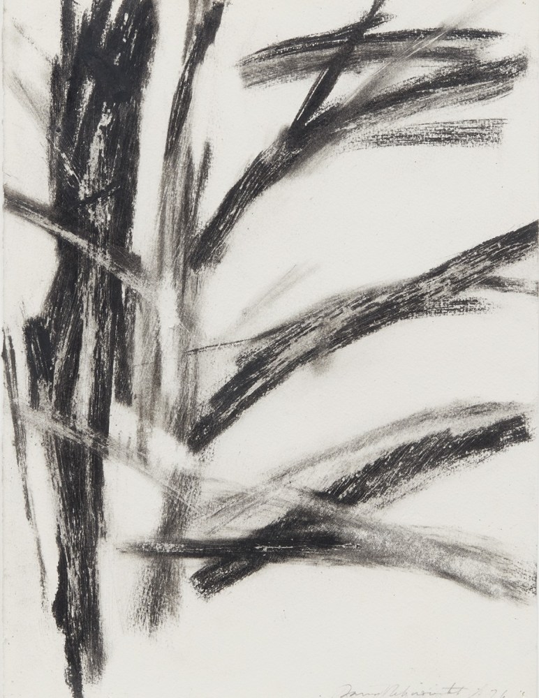 David Rabinowitch

Drawing after a Beech Tree in Central Park, 1976

Charcoal and beeswax on paper

21 x 17 inches (53.34 x 43.18 cm)

(DR76-14)