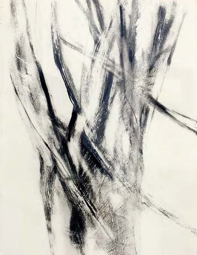 David Rabinowitch

Drawing after a Beech Tree in Central Park, 1976

Charcoal and beeswax on paper

21 x 17 inches (53.34 x 43.18 cm)

(DR76-15)