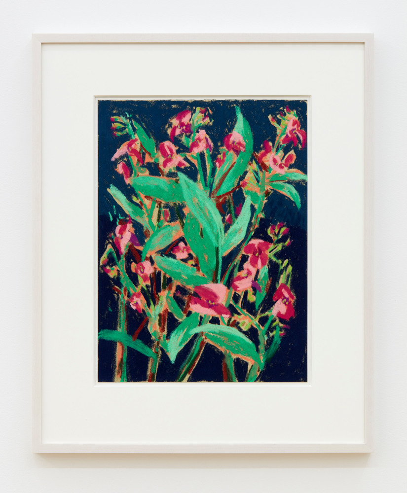 Nicole Wittenberg

Himalayan Balsam 8, 2023

Pastel on paper

15 1/2 x 11 1/2 inches (39.4 x 29.2 cm)

(NW23-07)
