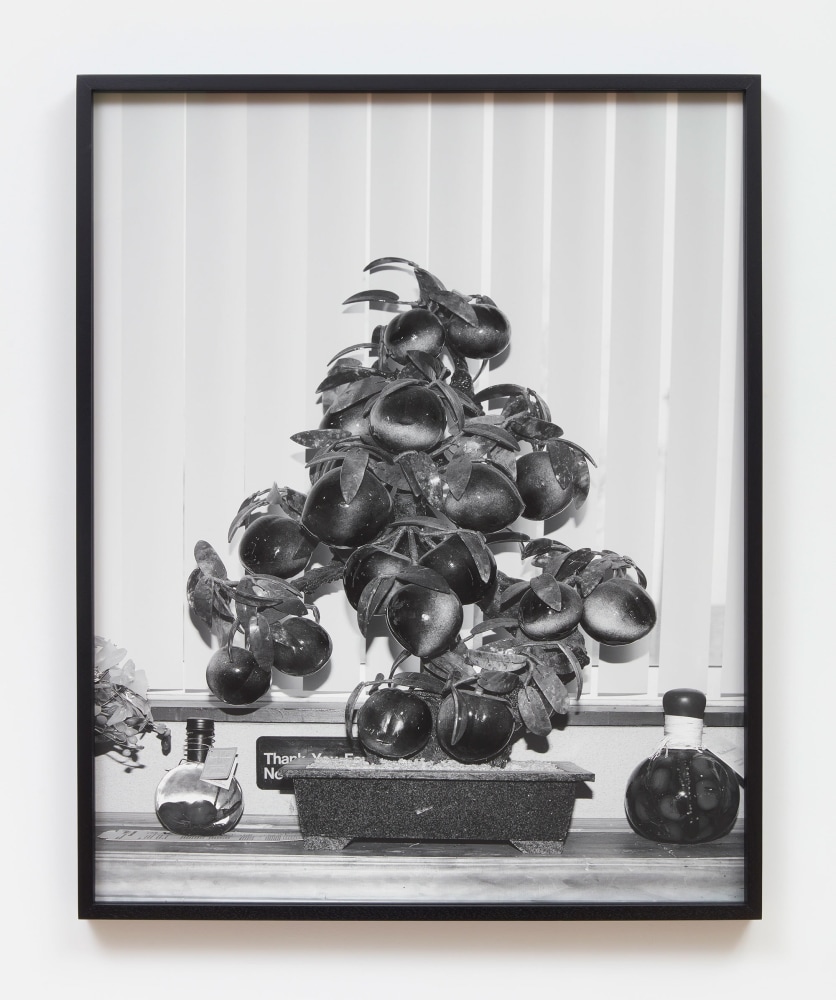 Pao Houa Her

untitled (glass oranges), 2019

Archival pigment print mounted on Dibond, artist-select frame (ebonized walnut)

40 x 32 inches (101.6 x 81.3 cm), photograph
41 x 33 x inches (104.1 x 83.8 cm), framed

Edition of 3 + 2 APs

(PHH19-04.1)