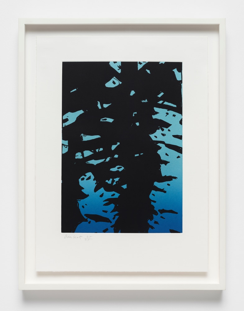 Alex Katz&amp;nbsp;
Reflection I, 2010&amp;nbsp;
3 color etching on Somerset paper&amp;nbsp;
18 1/2 x 13 1/2 inches (47 x 34.3 cm)
Edition of 45 + proofs&amp;nbsp;
Printed by Chris Creyts, New York
Published by Peter Blum Edition, New York&amp;nbsp;