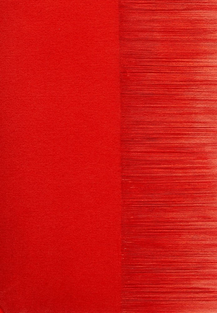 Rebecca Ward

bite marks II, 2025

Acrylic and dye on stitched canvas

18 x 13 1/2 inches (45.7 x 34.3 cm)

(RWA25-07)