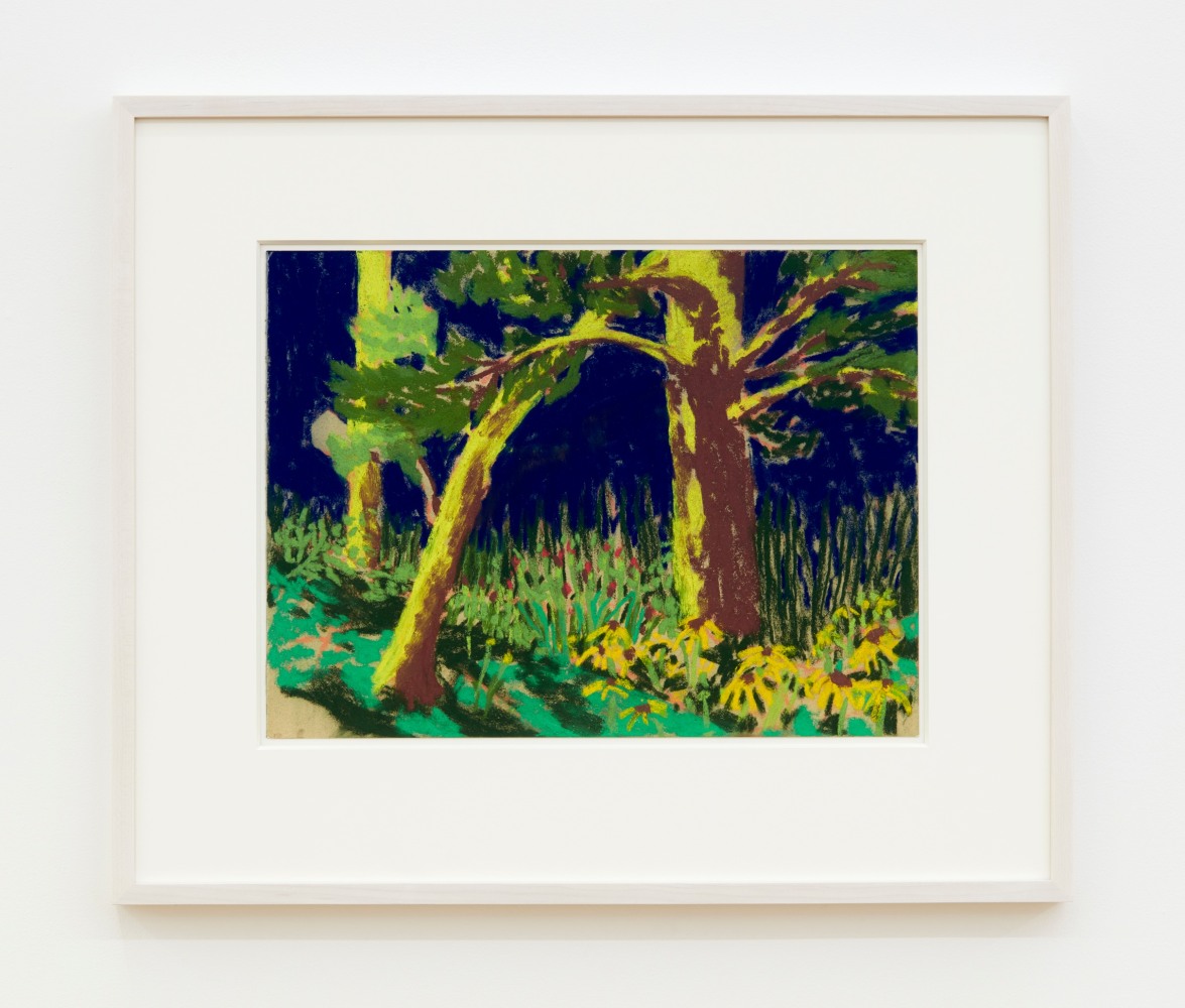 Nicole Wittenberg

Midsummer Morning 3, 2023

Pastel on paper

11 1/2 x 15 1/2 inches (29.2 x 39.4 cm)

(NW23-02)
