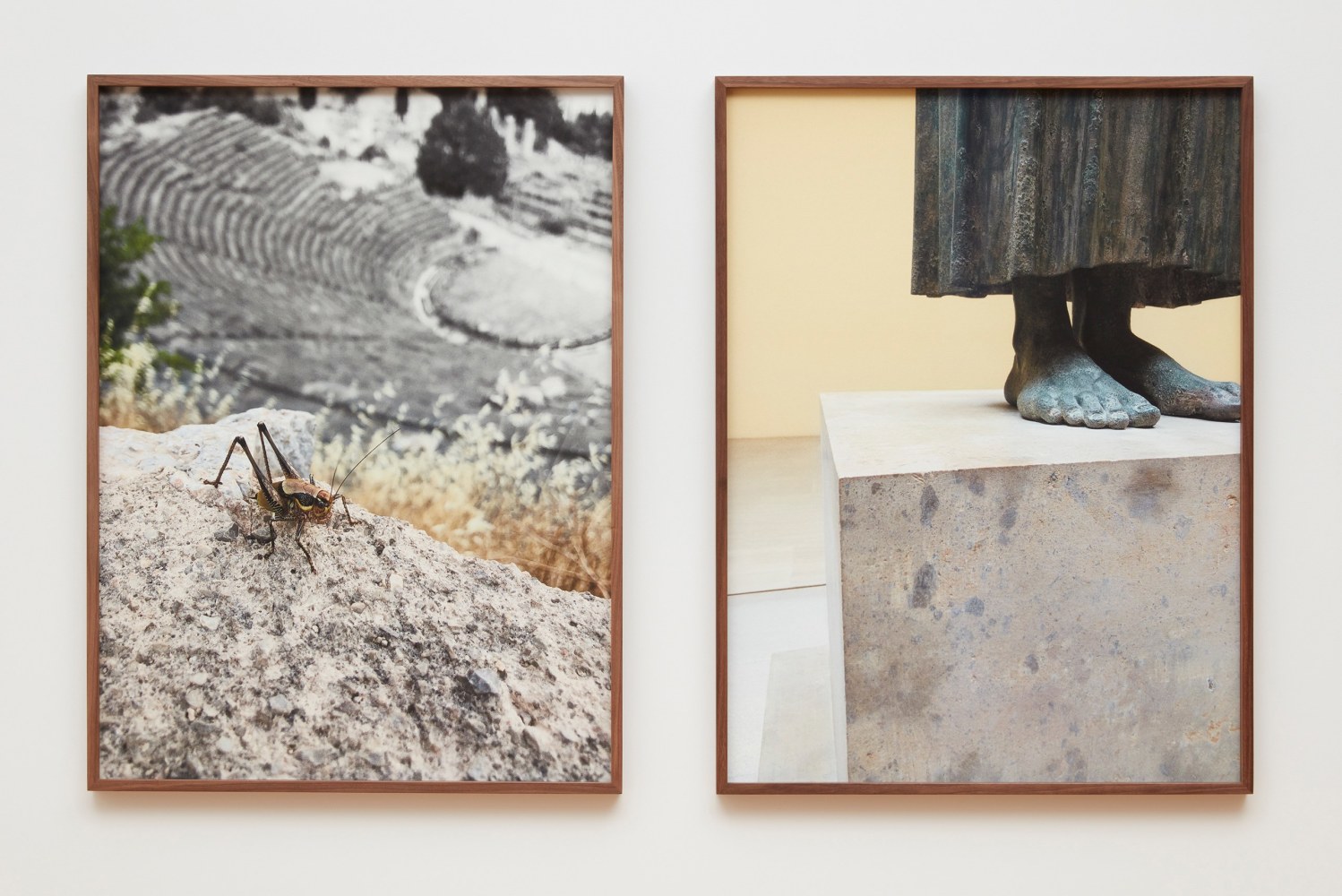 
Su-Mei Tse
Delphi: Grasshopper (Delphi)&amp;nbsp;and&amp;nbsp;The Charioteer of Delphi, 2019
Inkjet on fine art paper mounted on Dibond
Diptych:&amp;nbsp;36 1/4 x 59 inches (92 x 150 cm)
Edition of 5