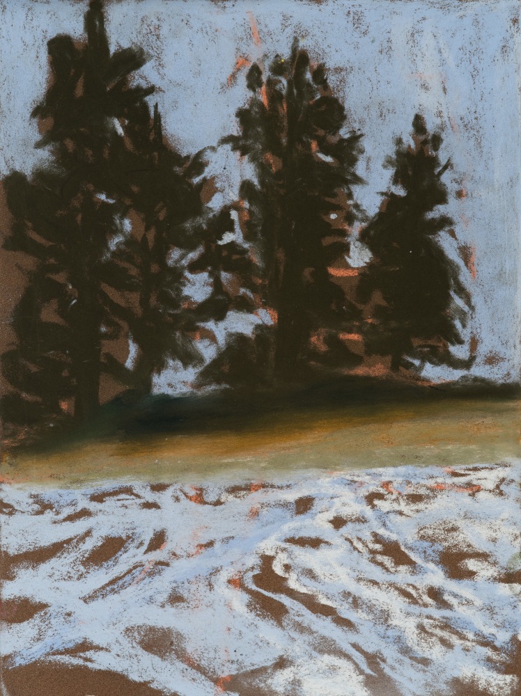 Nicole Wittenberg

Islands, 2021

Pastel on paper

15 1/2 x 11 1/2 inches (39.4 x 29.2 cm)

(NW21-01)