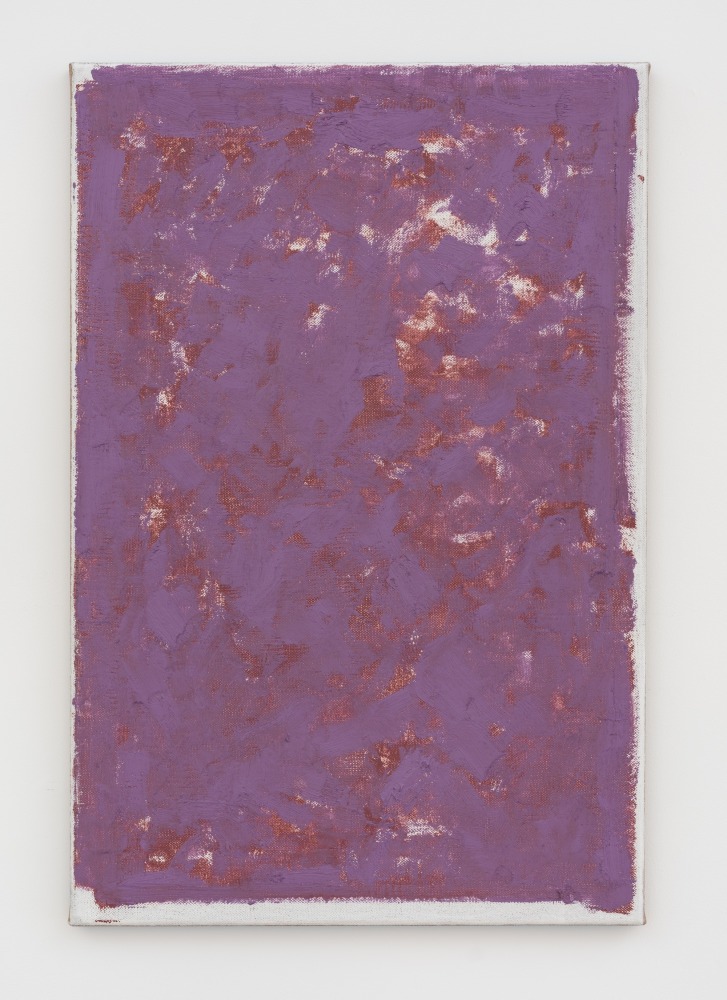 John Zurier

July, 2025

Oil on linen

23 5/8 x 15 3/4 inches (60 x 40 cm)

(JZ25-09)