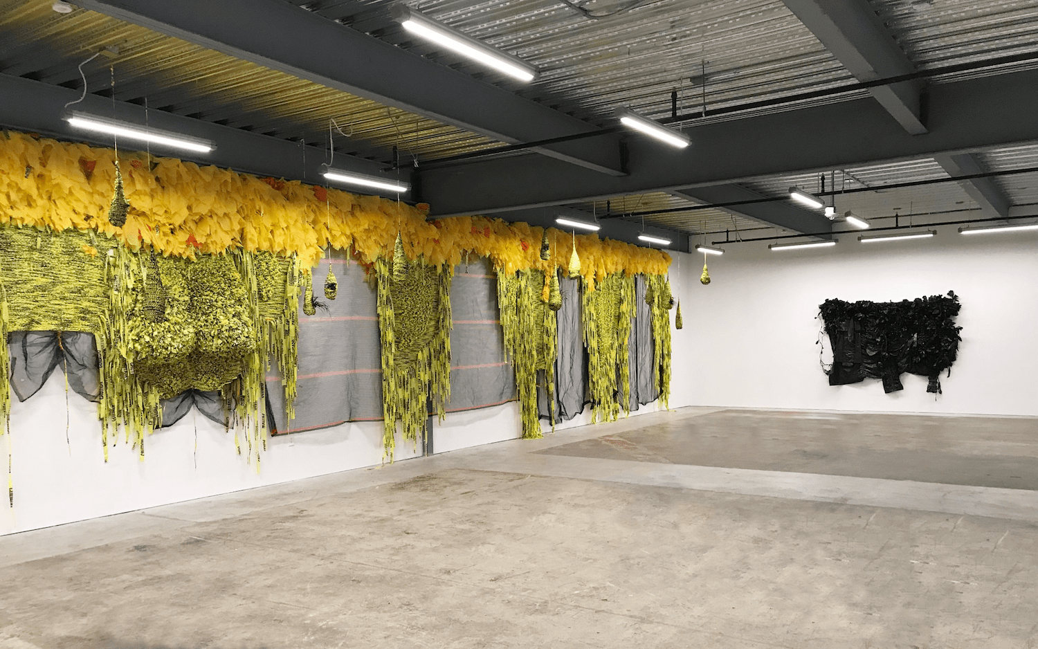 Installation view, 'Borinquen Gallo: Like a Jungle Orchid for a Lovestruck Bee', 2018, San Francisco