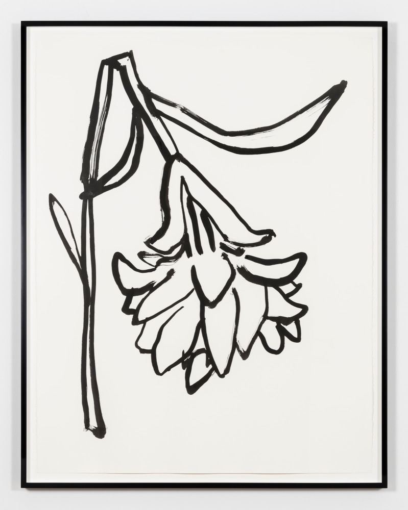 Paul Chan

die Nelke (carnation), 2020
Ink on paper
Paper: 49 7/8 x 38 3/8 inches (126.7 x 97.5 cm)
Frame: 53 1/8 x 41 5/8 x 1 3/4 inches (134.9 x 105.7 x 4.4 cm)
