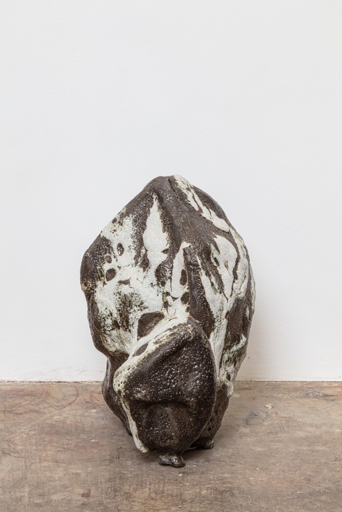 Liz Larner
Asteroid (Fluffy)
2020
Glazed ceramic
16 x 13 x 8 1/2 inches (40.6 x 33 x 21.6 cm)
$50,000

DOUBLE CLICK IMAGE FOR MORE VIEWS