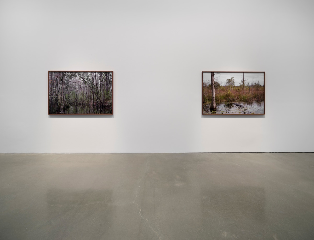 Catherine Opie - Swamps