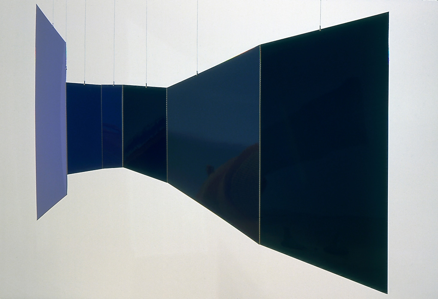 Liz Larner: Pioneers