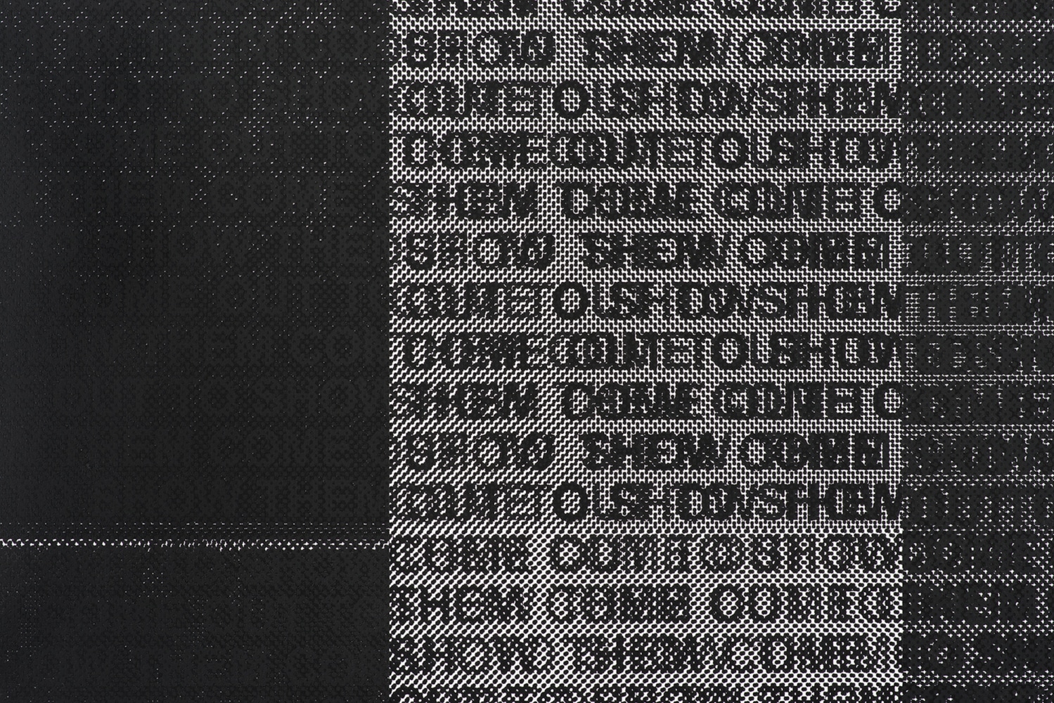 Glenn Ligon
Come Out #8 (detail)
2015
Silkscreen on canvas
95 1/8 x 120 inches (241.6 x 304.8 cm)