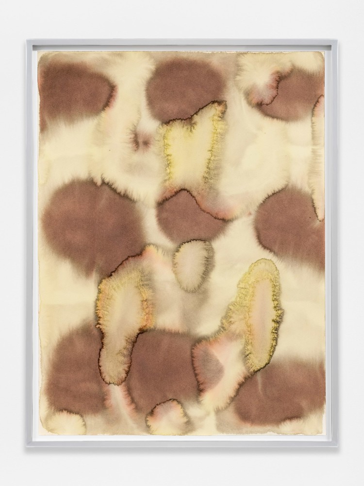 Rebecca Morris
Untitled (#236-20)
2020
Watercolor and ink on paper
25 1/8 x 19 1/4 x 1 1/2 inches (63.8 x 48.9 x 3.8 cm)