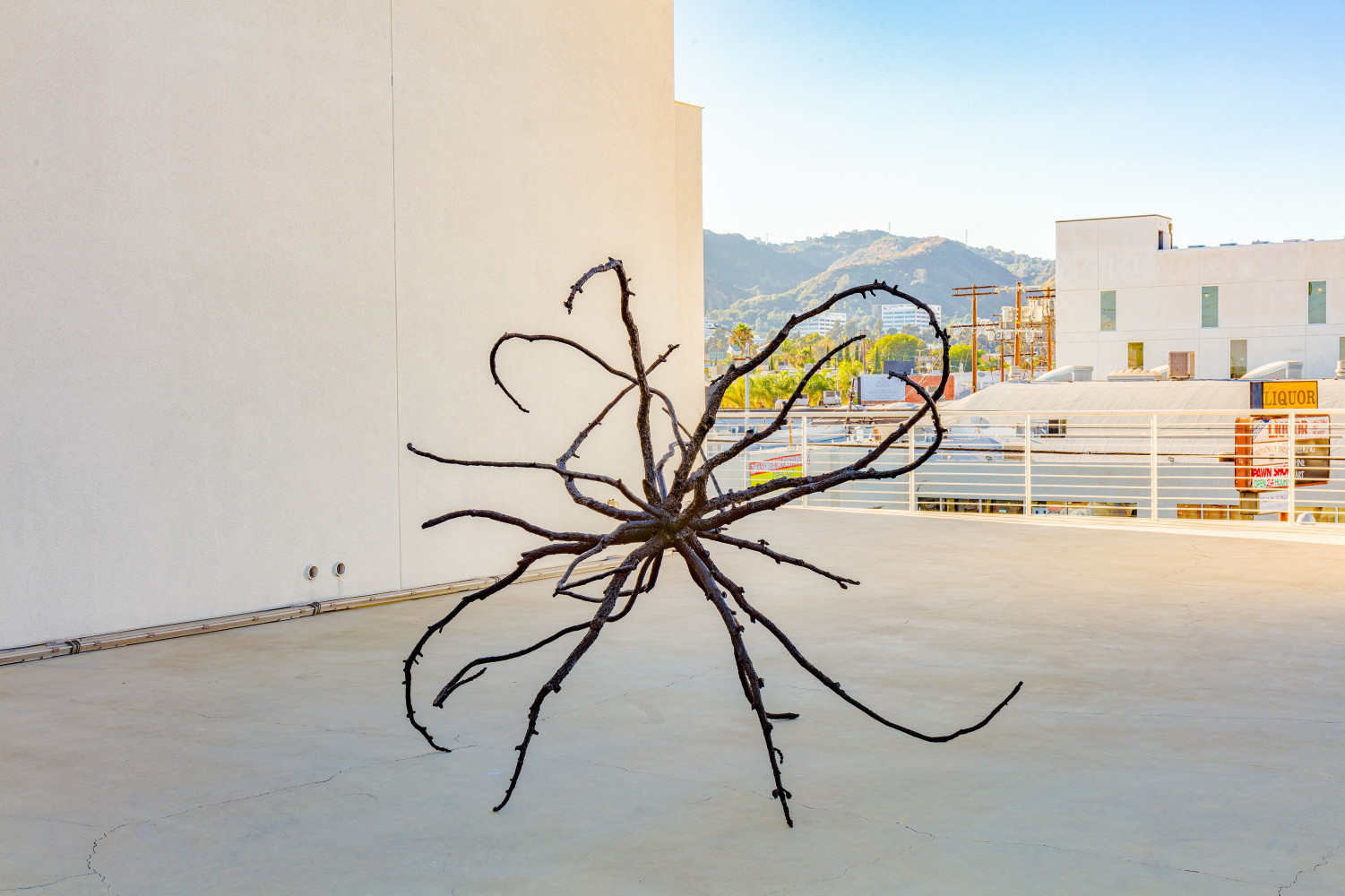 Liz Larner: Pioneers