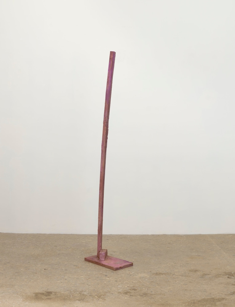 Rachel Harrison
HD Prime 1
2018
Wood, cement, acrylic and enamel
87 1/2 x 19 1/4 x 10 1/4 inches (222.3 x 48.9 x 26 cm)