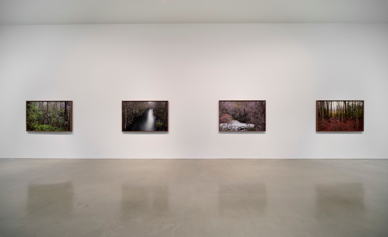 Catherine Opie - Rhetorical Landscapes