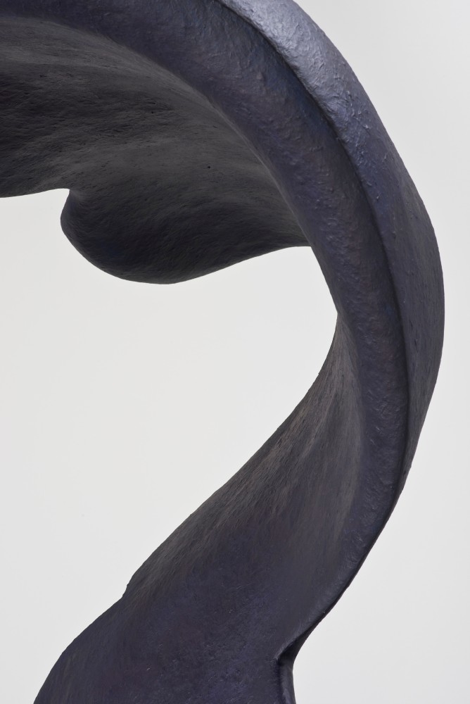 Liz Larner: Pioneers