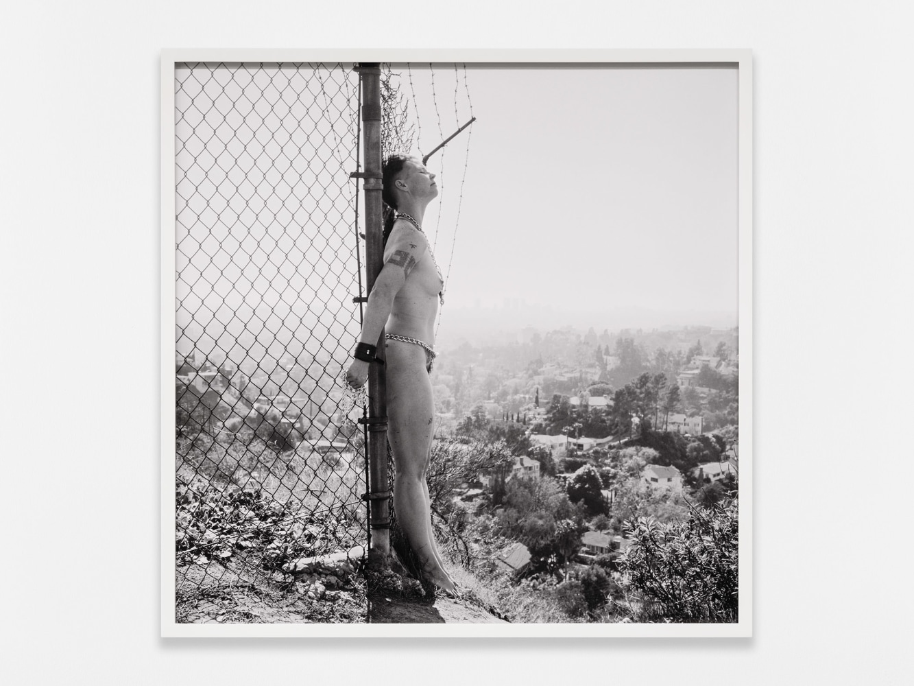 Catherine Opie
Raven, 1990
1990/2024
Pigment print
31 x 31 x 2 inches (78.7 x 78.7 x 5.1 cm)