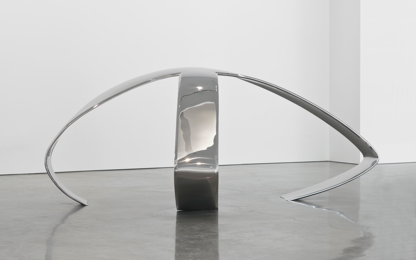 Liz Larner: Pioneers