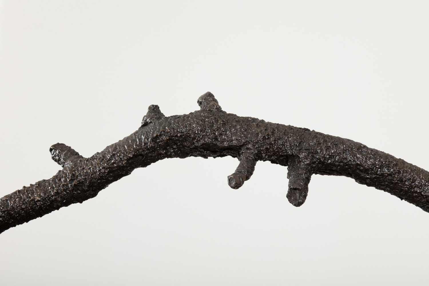 Liz Larner: Pioneers