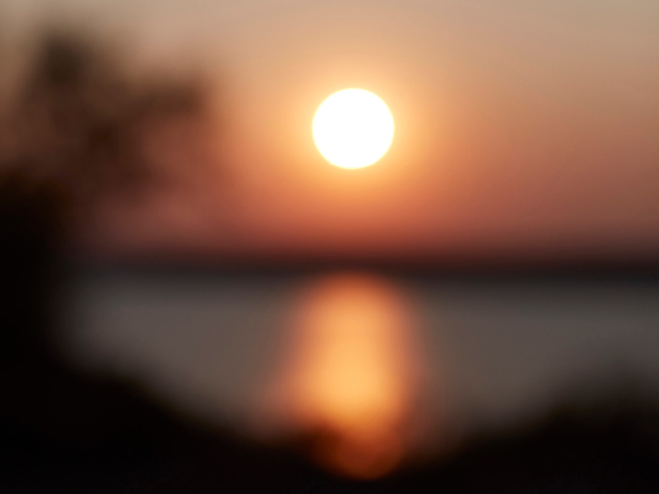 Catherine Opie
Untitled #7 (monument/monumental)&amp;nbsp;(detail)
2020
Pigment print
Framed Dimensions:
67 x 45 1/8 x 2 inches (170.2 x 114.6 x 5.1 cm)
Image Dimensions:
66 x 44 inches (167.6 x 111.8 cm)
Edition of 5, 2 AP
$55,000