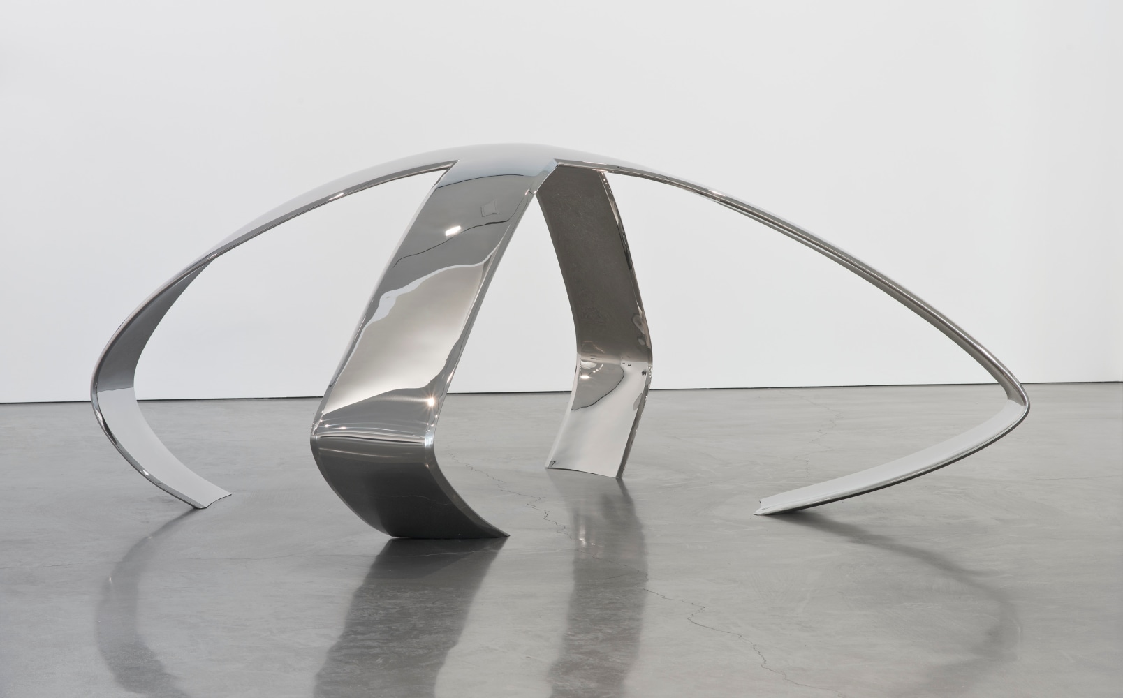 Liz Larner: Pioneers