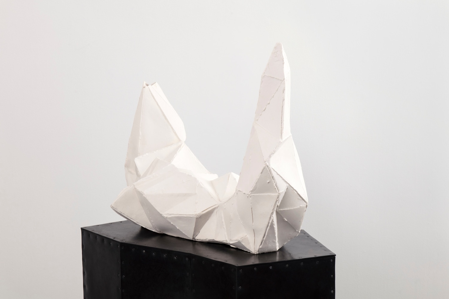 Liz Larner: Pioneers