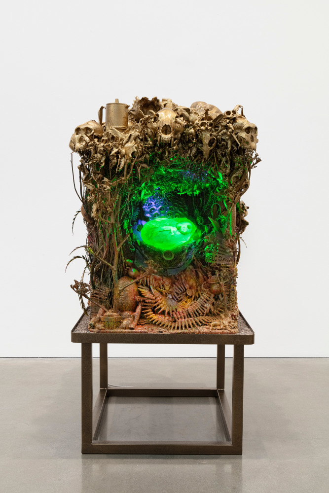 Max Hooper Schneider
Roadside Reliquary (Turtle Fossil)
2021
Mixed media, cast uranium glass, UV lighting system, custom metal base
Artwork Dimensions:
52 x 46 x 38 inches (132.1 x 116.8 x 96.5 cm)
Metal Base:
25 1/4 x 44 x 36 inches (64.1 x 111.8 x 91.4 cm)

DOUBLE CLICK IMAGE FOR MORE VIEWS