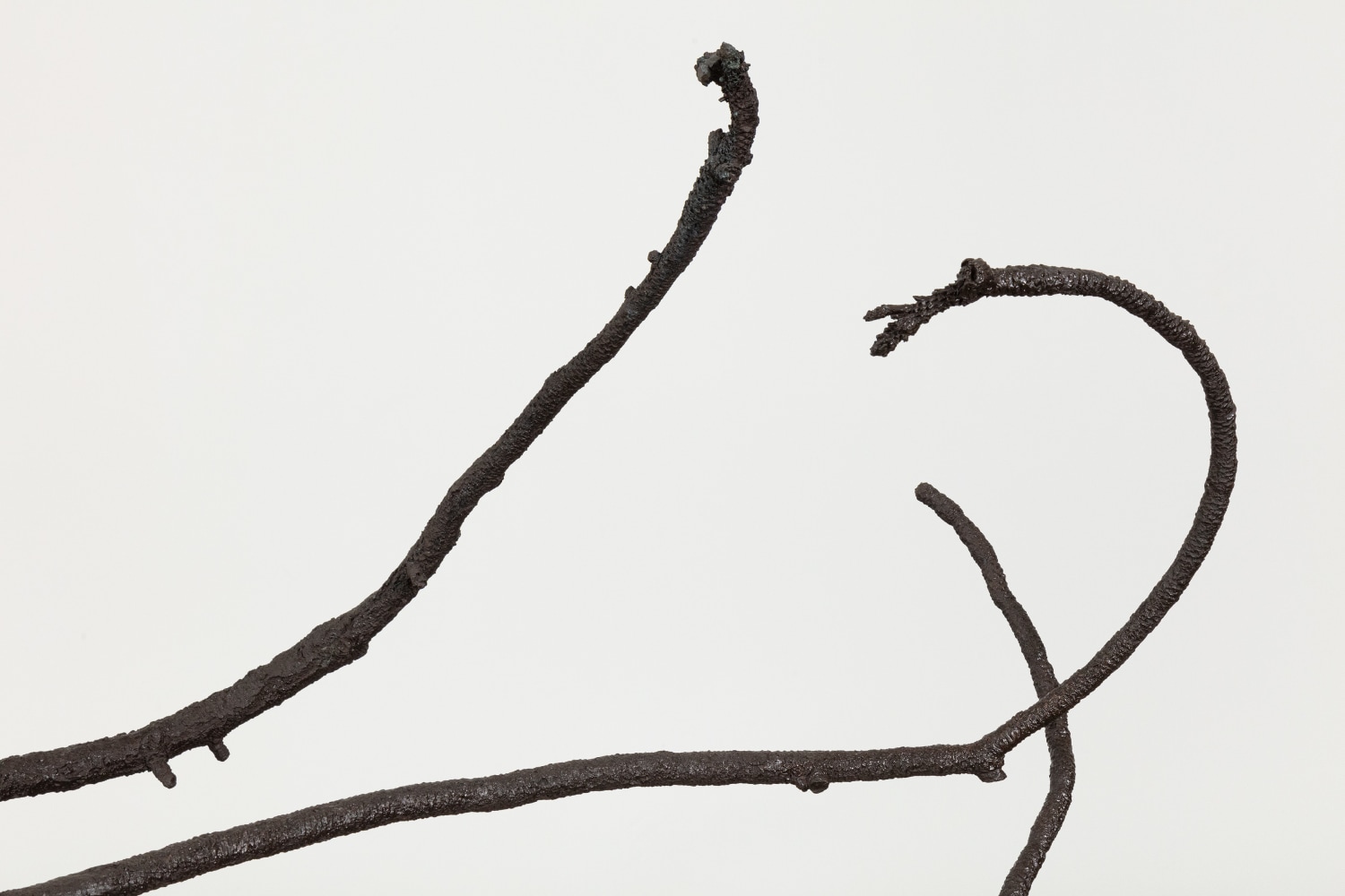 Liz Larner: Pioneers