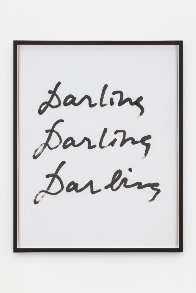 Jack Pierson
Darling Darling Darling
2020
Krink marker on paper

Framed Dimensions:
25 1/4 x 20 1/4 x 1 1/2 inches (64.1 x 51.4 x 3.8 cm)
Paper Dimensions:
24 x 19 inches (61 x 48.3 cm)

$6,000