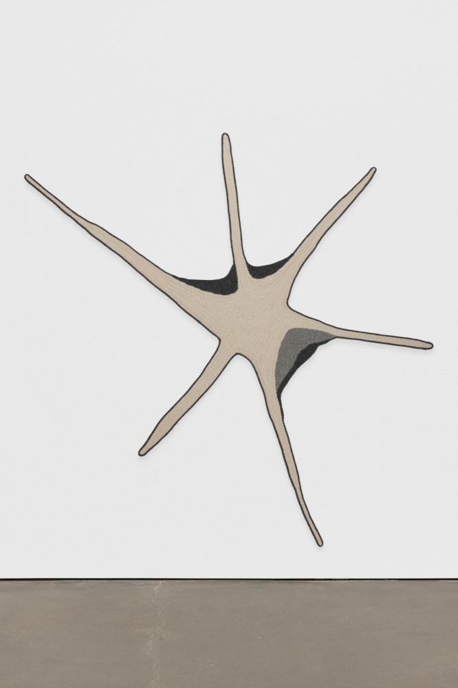 Andrea Zittel
Single Strand Shapes: Forward Motion (large white star)
2005
Sheep&amp;#39;s wool, crocheted
96 1/4 x 102 1/2 x 1/8 inches (244.5 x 260.4 x .3 cm)

SOLD


DOUBLE CLICK IMAGE FOR MORE VIEWS