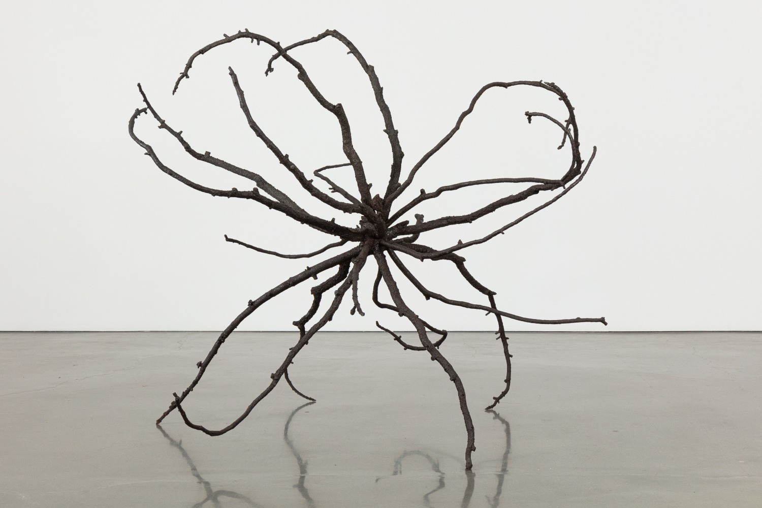 Liz Larner: Pioneers