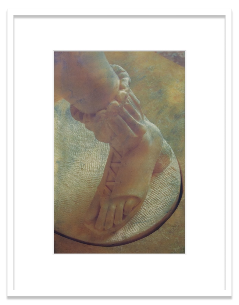 Artemis Rospigliosi
2020
Oil pigment, electrostatic print on polyester (Winsor &amp;amp; Newton Artists&amp;#39; Oil Color, HP Color&amp;nbsp;LaserJet CP5225&amp;nbsp;on Pronto Plate)&amp;nbsp;
Image Dimensions:&amp;nbsp;17 1/4&amp;nbsp;x 11 1/2&amp;nbsp;inches (43.8 x 29.2 cm)
Framed Dimensions:&amp;nbsp;24 x 18 3/4 inches (61 x 47.6 cm)
Variable edition of 5 + 1AP