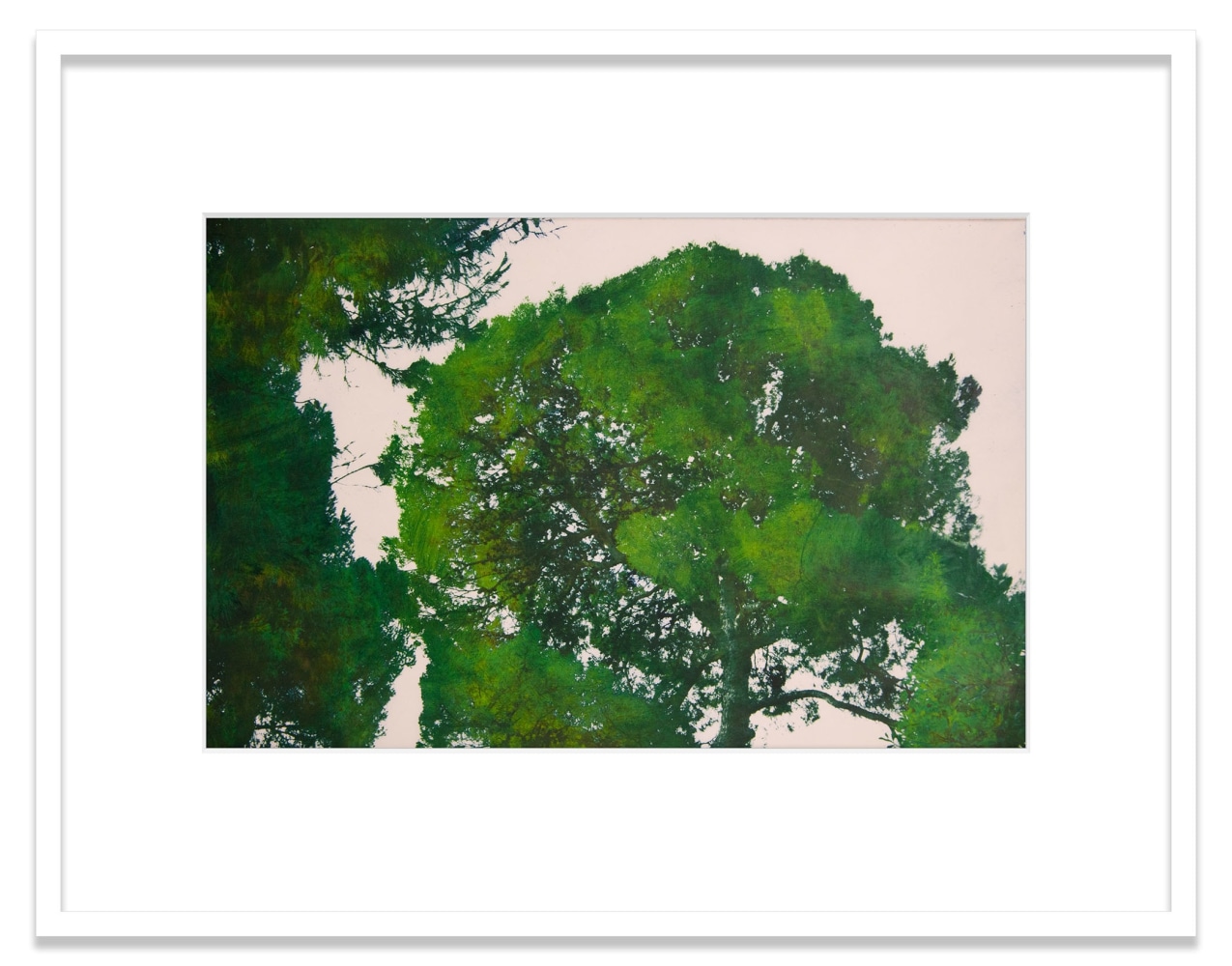 Athens. National Garden. Aleppo Pine
2020
Oil pigment, electrostatic print on polyester (Winsor &amp;amp; Newton Artists&amp;#39; Oil Color, HP Color&amp;nbsp;LaserJet CP5225&amp;nbsp;on Pronto Plate)&amp;nbsp;
Image Dimensions:&amp;nbsp;11 1/2 x 17 1/4 inches (29.2 x 43.8 cm)
Framed Dimensions:&amp;nbsp;18 &amp;frac34; x 24 inches (47.6 x 61 cm)
Variable edition of 5 + 1AP