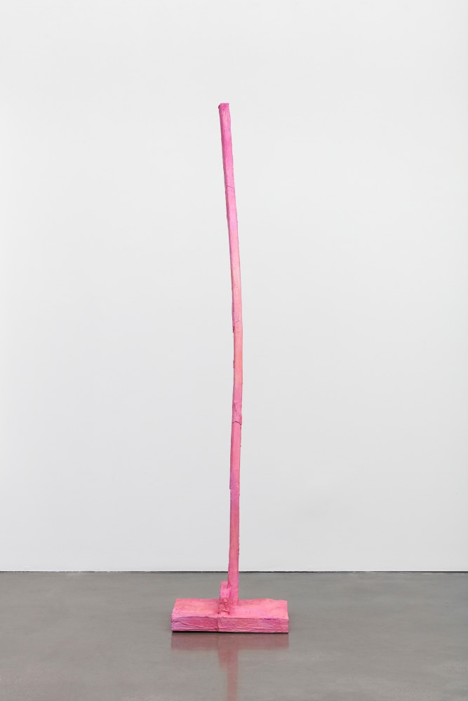 Rachel Harrison
Pink Stud
2021
Steel, glass fiber reinforced concrete, and acrylic
98 x 21 x 22 inches (248.9 x 53.3 x 55.9 cm)

DOUBLE CLICK IMAGE FOR MORE VIEWS